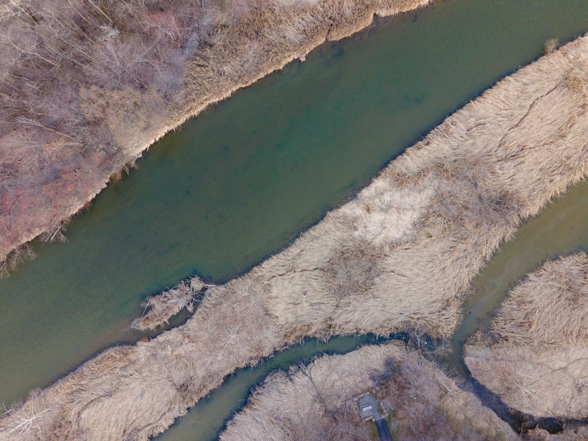 Aerial view of a branching river delta. Every tributary flowing into one watershed.