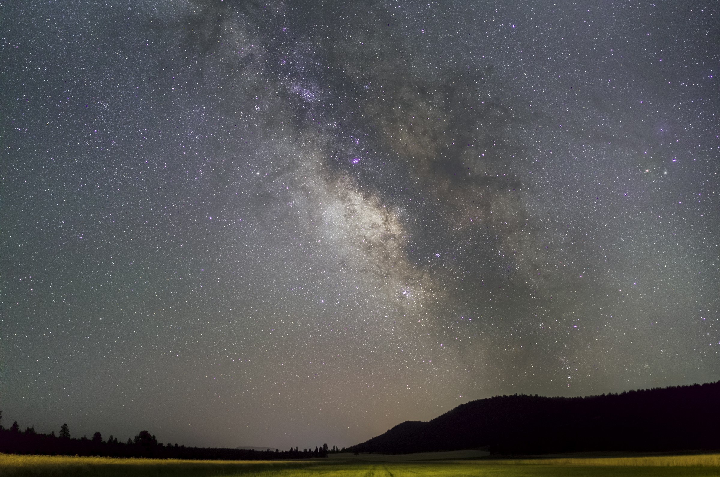 Stars in the night sky